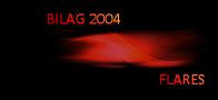 BILAG 2004(12)